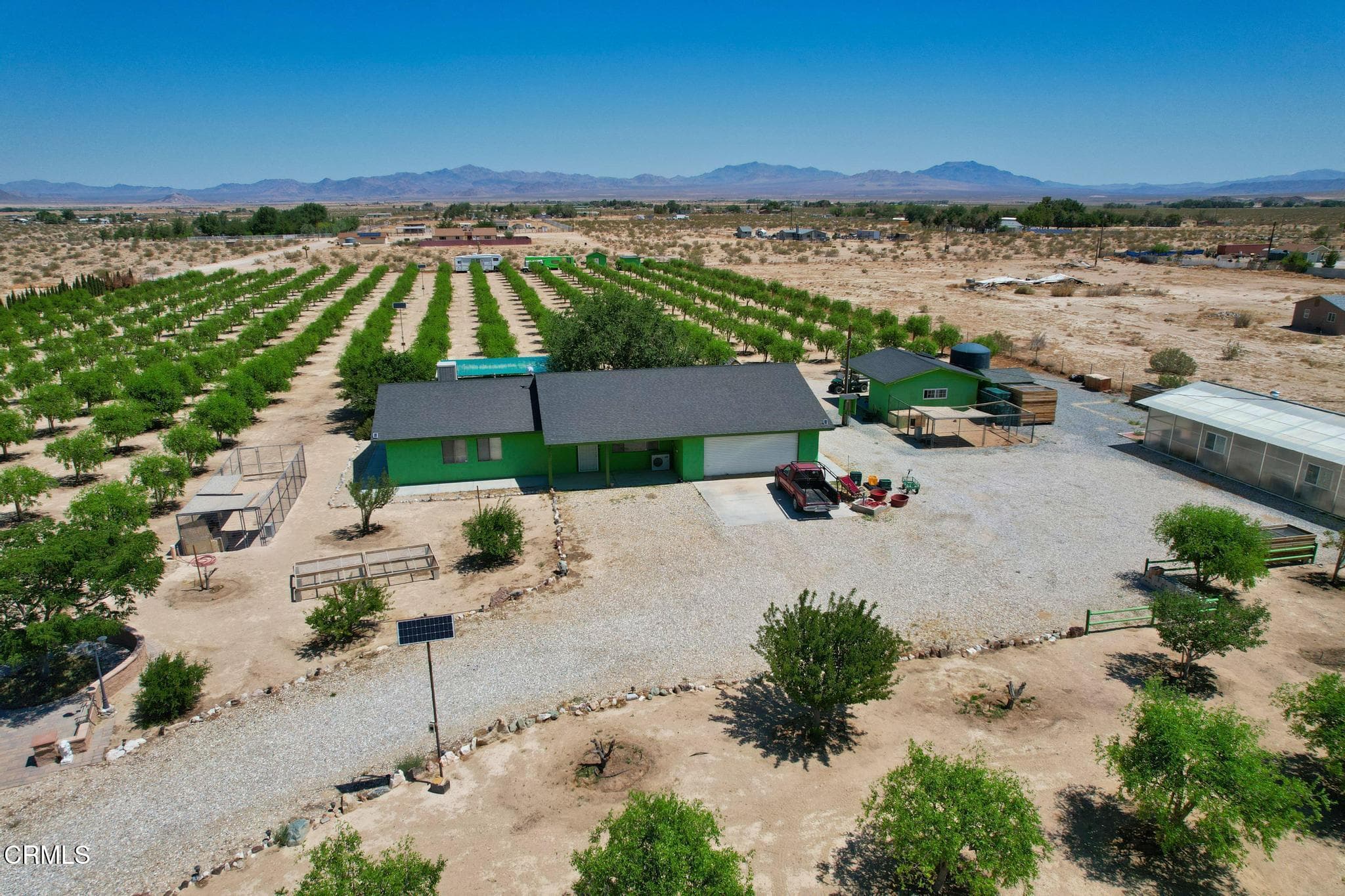 DJI_0552