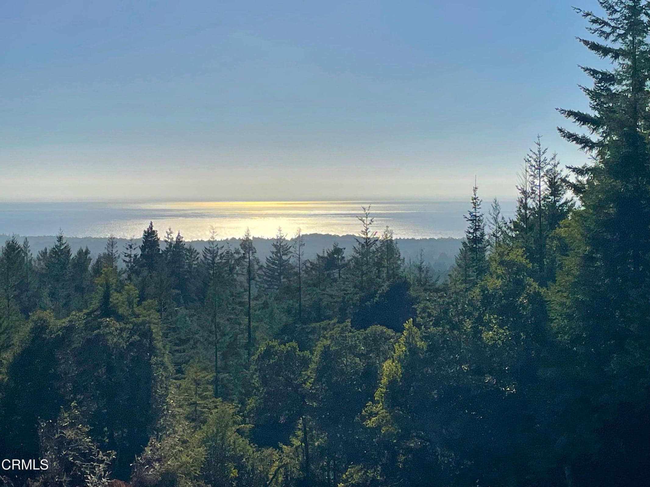 The Ocean View