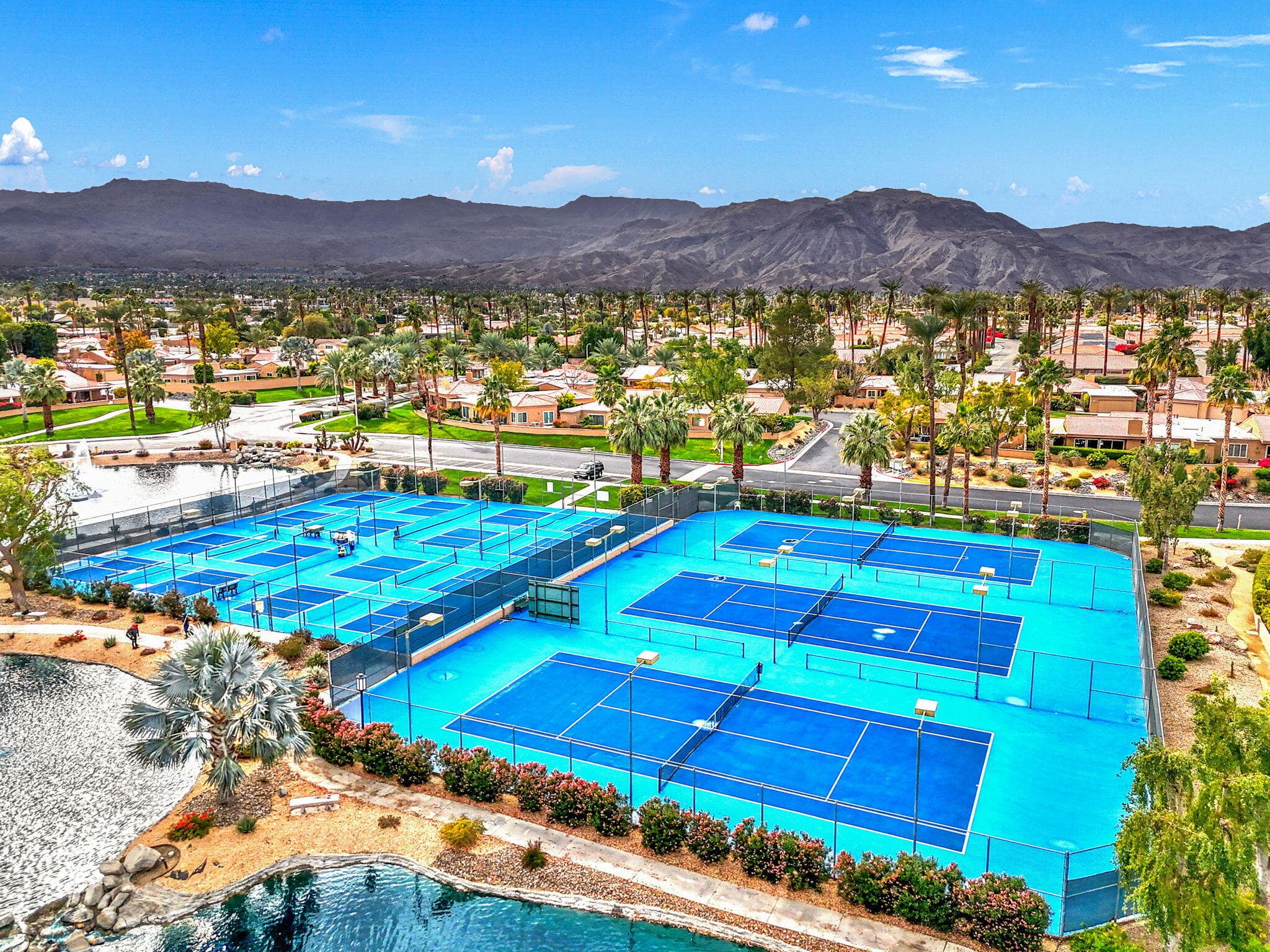 Pickleball Paradise