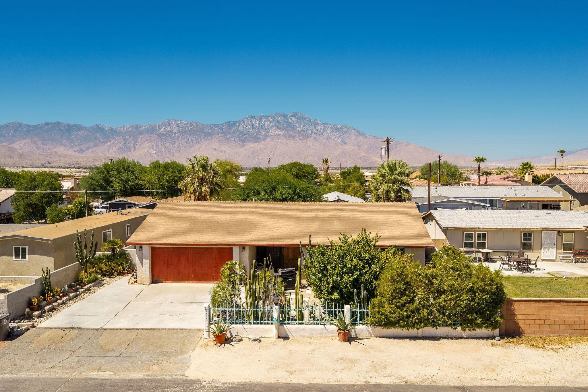 30255ArbolReal-41