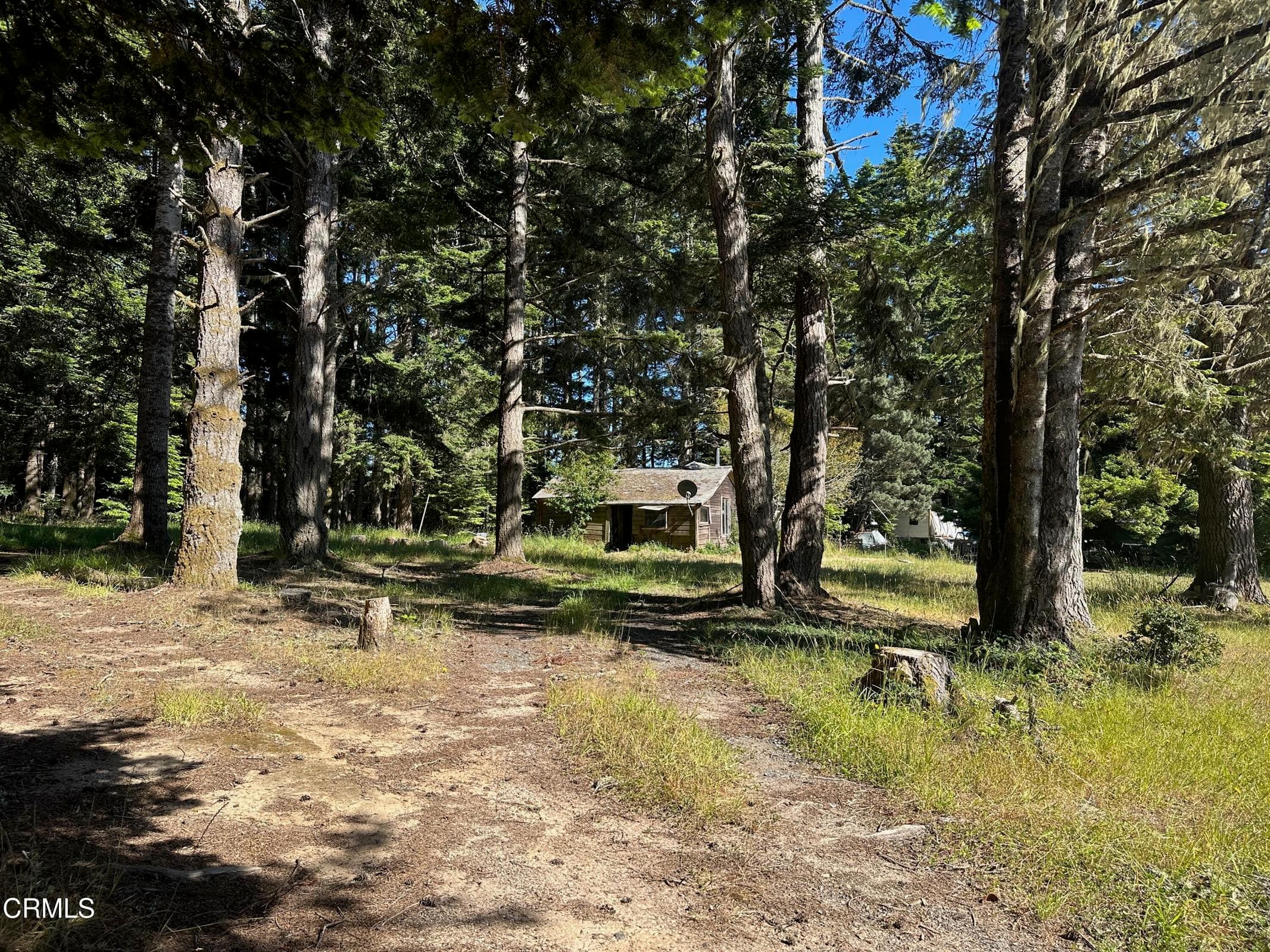 Vintage Cabin