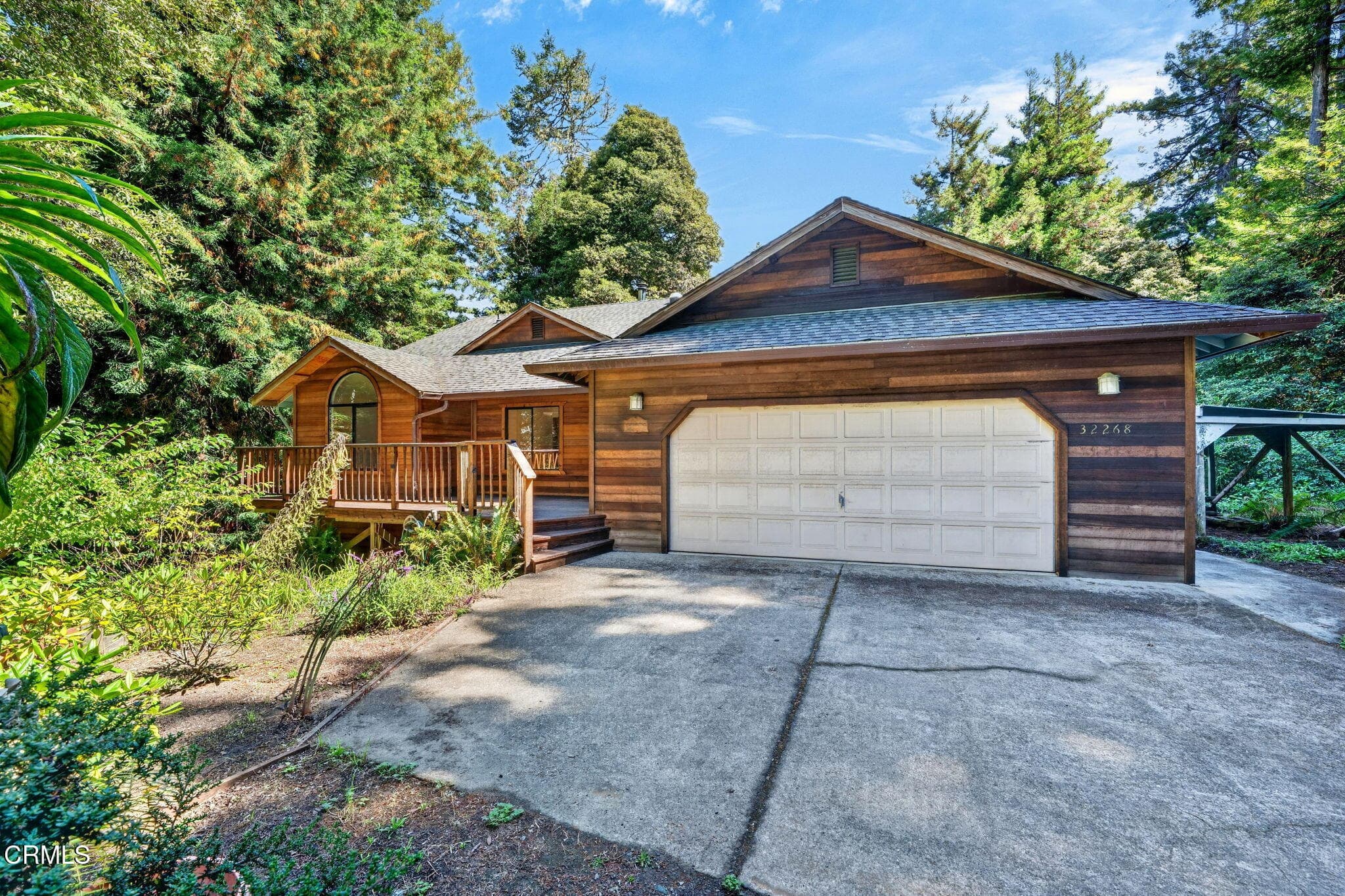 8-web-or-mls-DSC05572