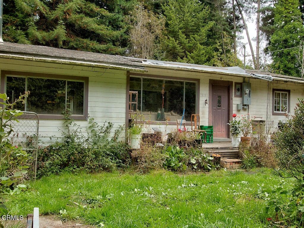 19151 Pine Tree