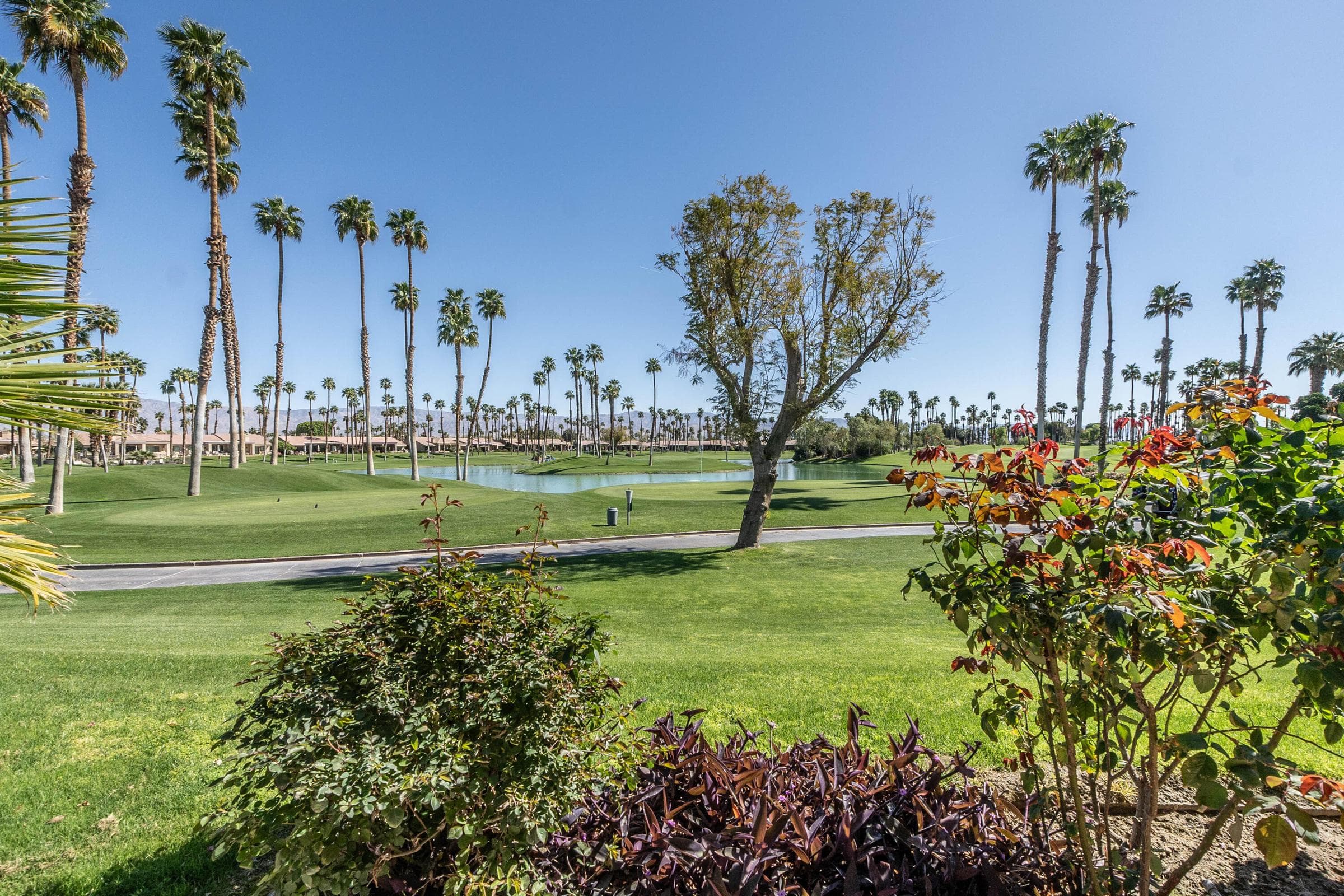 The view from your fairway patio!!! It faces east!
